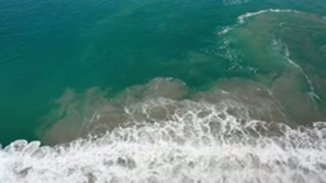 LOS CABOS MEXICO-2020: Footage Of A Beach With Green Beautiful Water While Waves