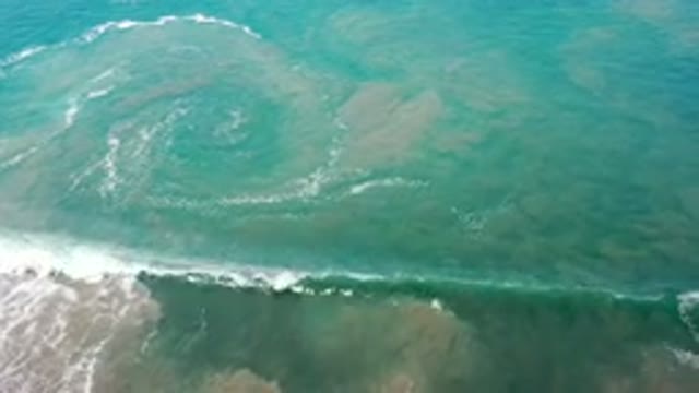 LOS CABOS MEXICO-2020: Amazing View Under The Sea