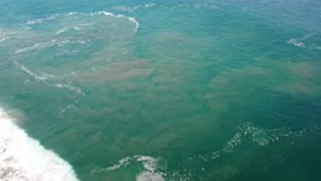 LOS CABOS MEXICO-2020: The Vastness Of The Sea And Its Waves Is Amazing