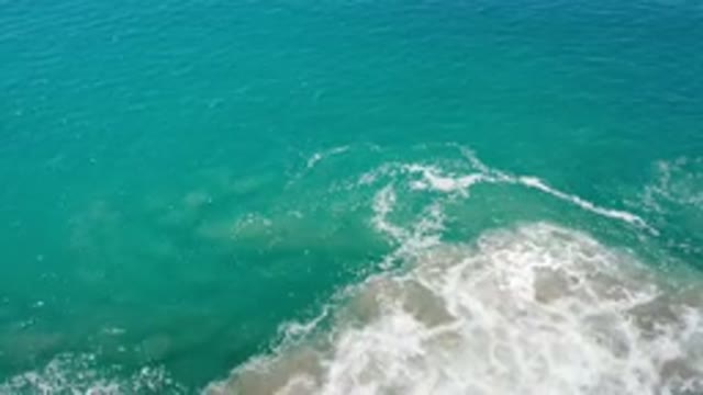 LOS CABOS MEXICO-2020: A Disturbance In The Shallow Waters Off The Coast