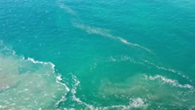 LOS CABOS MEXICO-2020: Calm Green Sea Waves on Sandy Shore