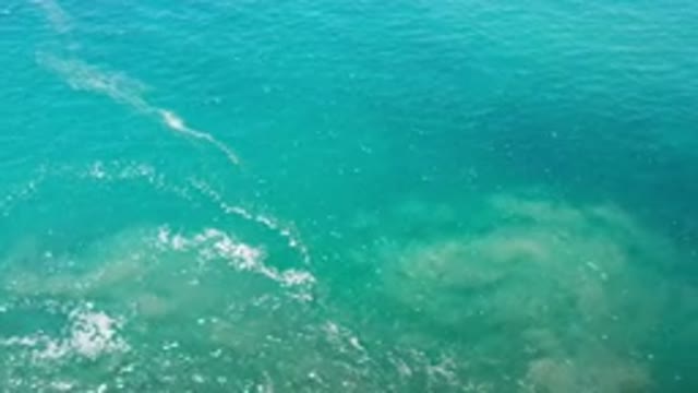 LOS CABOS MEXICO-2020: Top View Of A Glittering Blue Tropical Ocean With