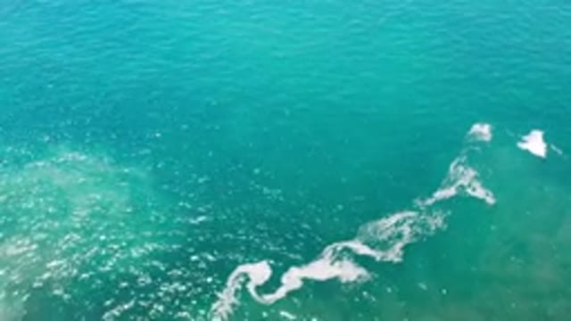 LOS CABOS MEXICO-2020: The Freedom Of The Blue Ocean Shows How Great Nature Is