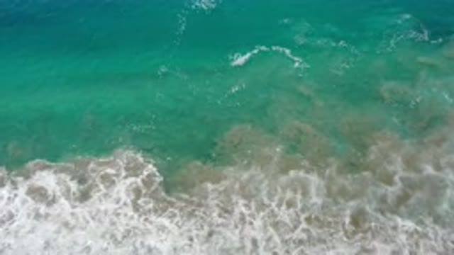 LOS CABOS MEXICO-2020: Calm Even With The Transparent Green Waters Crashing