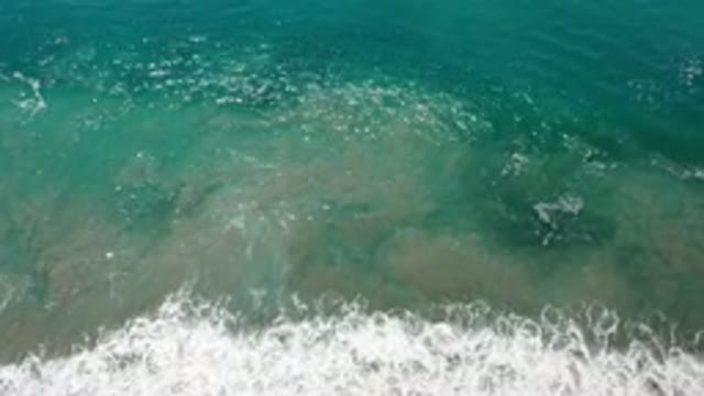 LOS CABOS MEXICO-2020: I Don't Want To Do This Do I Type Whatever I Want To
