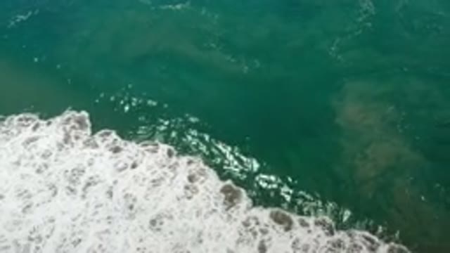LOS CABOS MEXICO-2020: Active Small Waves On The Green Sea