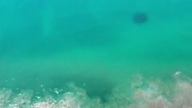 LOS CABOS MEXICO-2020: Lots Of Water With Green Shade And White Shade On The