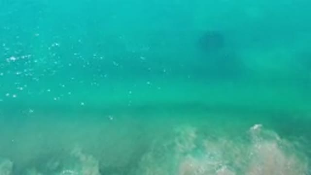 LOS CABOS MEXICO-2020: See The Green Waves Moving In Sea And Shining Due Sun
