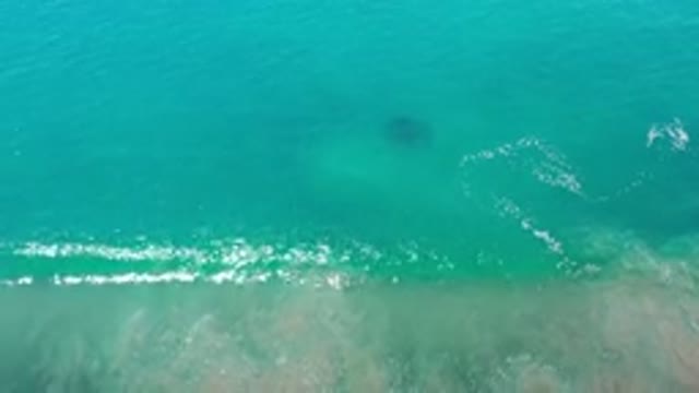 LOS CABOS MEXICO-2020: The Timing of Sea Waters Carried in Waves by the Wind