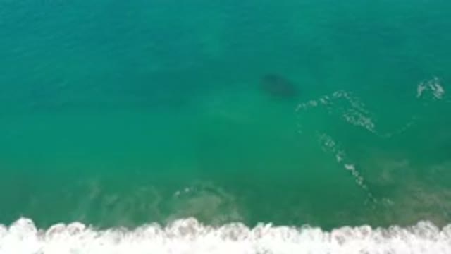 LOS CABOS MEXICO-2020: A Green And Deep Sea Water And White Bubbled Waves In A