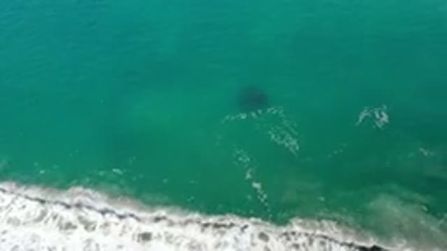 LOS CABOS MEXICO-2020: Waves Of A Blue And Crystalline Sea Breaking Near The