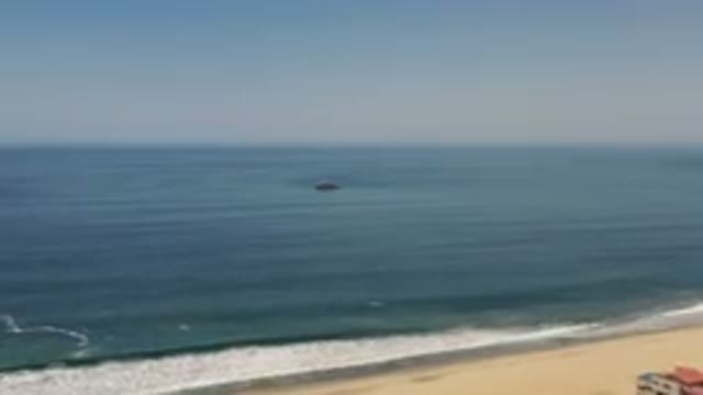 LOS CABOS MEXICO-2020: Something In The Water Several Yards Off The Beach As The