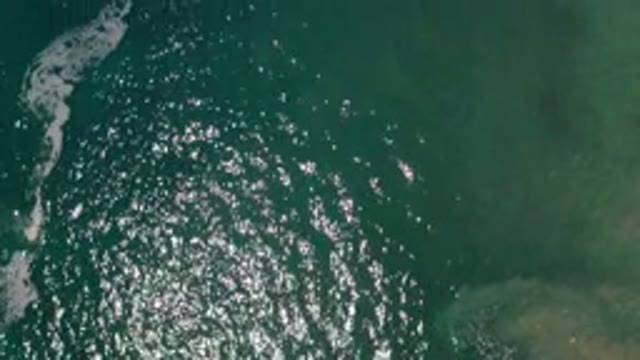 LOS CABOS MEXICO-2020: Clearest and Most Relaxing Emerald Water in the World