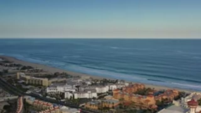 LOS CABOS MEXICO-2020: Long View of Beach and Roadside Palm Trees