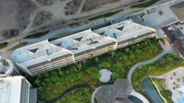 LOS CABOS MEXICO-2020: A Condominium With Lush Trees in the Front Yard