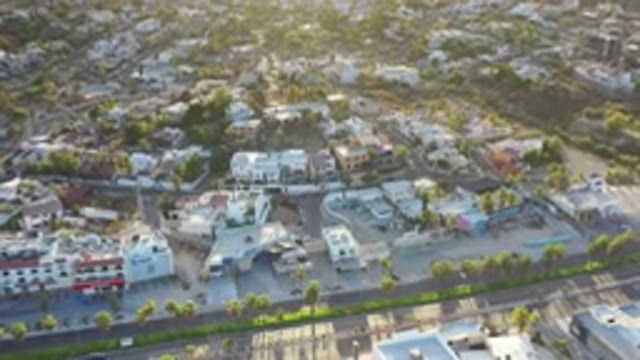 LOS CABOS MEXICO-2020: Cars Drive Down The Palm Tree Street Where The Condos