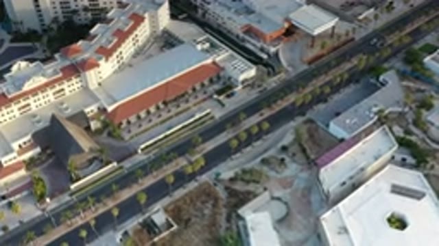 LOS CABOS MEXICO-2020: Tree-Lined Avenue With Few Cars In The City Amid