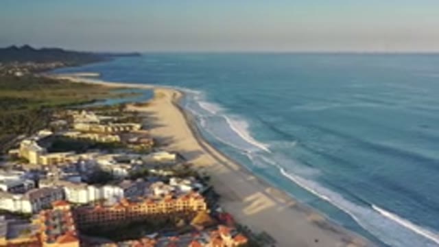 LOS CABOS MEXICO-2020: Cat Eat Roaming Gym Front Forest Canteen Cartoon Network