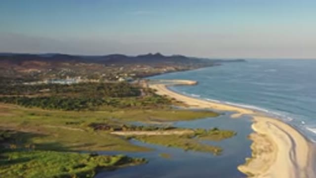 LOS CABOS MEXICO-2020: The Seashore With Cute Waves Reaching The Place With Green Trees