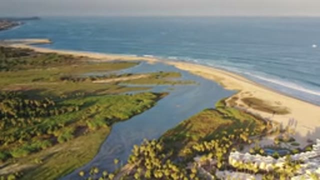 LOS CABOS MEXICO-2020: A View Of A Forest With A Large River Near A Sea