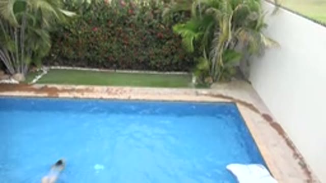 LOS CABOS MEXICO-2020: Pool In A Backyard With Palm Trees In A Resort Area