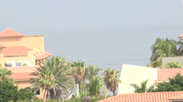 LOS CABOS MEXICO-2020: The Leafy Green Suburb