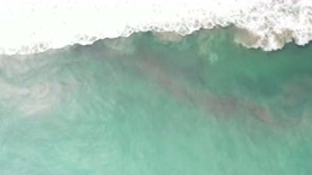 LOS CABOS MEXICO-2020: Water Overview Moving Reef Blue Green Running Water Fluid
