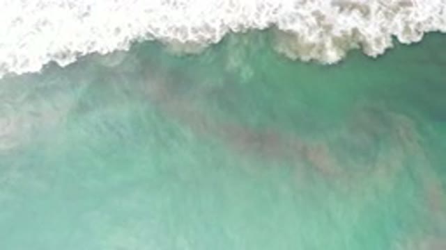 LOS CABOS MEXICO-2020: Wake Of A Boat Through Emerald Green Ocean With Sand