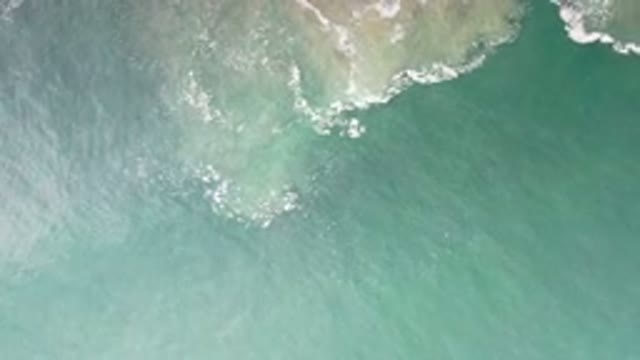 LOS CABOS MEXICO-2020: Aerial View Over Green Ocean Water As Sand Or Seaweed Is