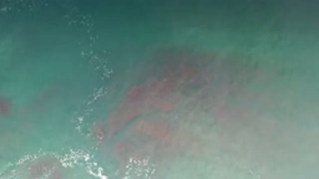 LOS CABOS MEXICO-2020: A Rock Formation Under Green Water