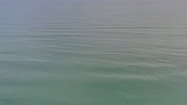 LOS CABOS MEXICO-2020: Calm And Cool Green Water Rippling Slowly In The Breeze