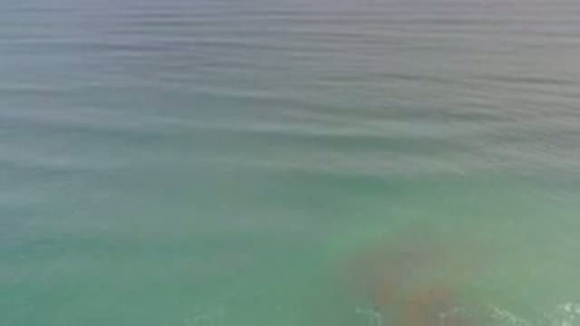 LOS CABOS MEXICO-2020: Dim Blue Green Waters With Small Rolling Waves And Some