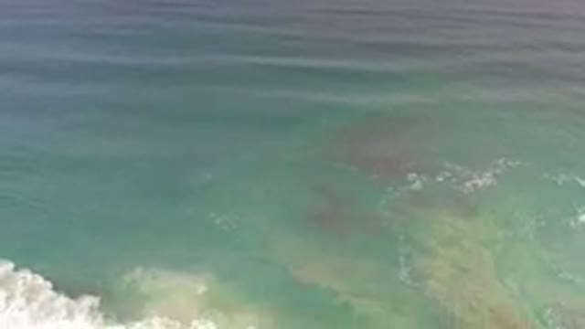 LOS CABOS MEXICO-2020: Clear Ocean Waves Rolling Wistfully On The Empty Beach