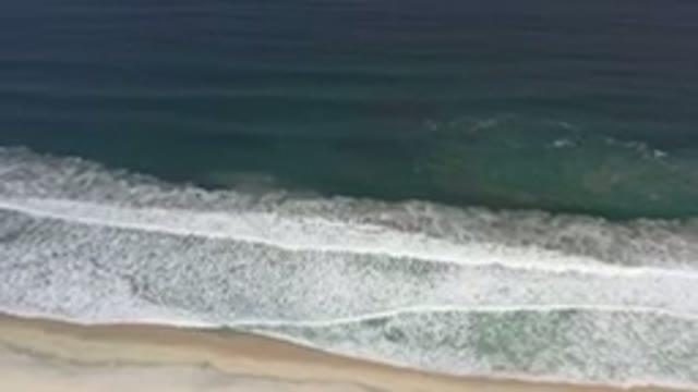 LOS CABOS MEXICO-2020: Where The Ocean Meets The Sand At The Coastline
