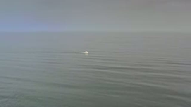 LOS CABOS MEXICO-2020: Fast Moving Boat Gliding Across Large Blue Dark Ocean