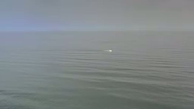 LOS CABOS MEXICO-2020: Serene Ocean Setting Meeting The Hazy Horizon With A Small Boat