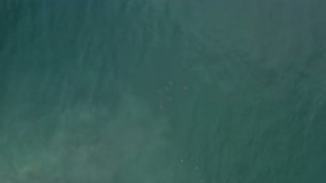 LOS CABOS MEXICO-2020: Aerial View Of A Lake Or River Or Sea Extremely Green And