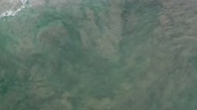 LOS CABOS MEXICO-2020: Sand Being Disturbed By Something In The Shallow Waters