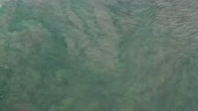 LOS CABOS MEXICO-2020: Waves Move Up And Back Into The Sea