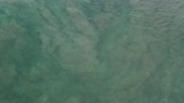 LOS CABOS MEXICO-2020: Cloudy Green And Empty Ocean Water Ripples In The Light