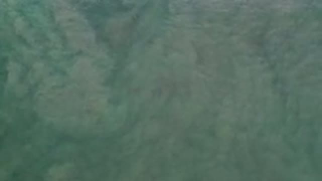 LOS CABOS MEXICO-2020: Wavy But Calm Green Sea