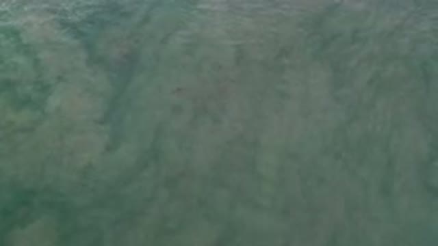 LOS CABOS MEXICO-2020: Flowing Green and Clean Water Over Loose Sand