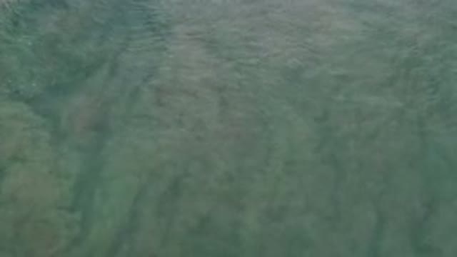 LOS CABOS MEXICO-2020: Cleanest Footage Of Crystal Clear Water With Sun Reflections
