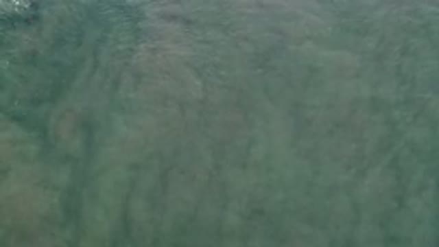 LOS CABOS MEXICO-2020: A River Or Lake With Mixed Green And Brown Color