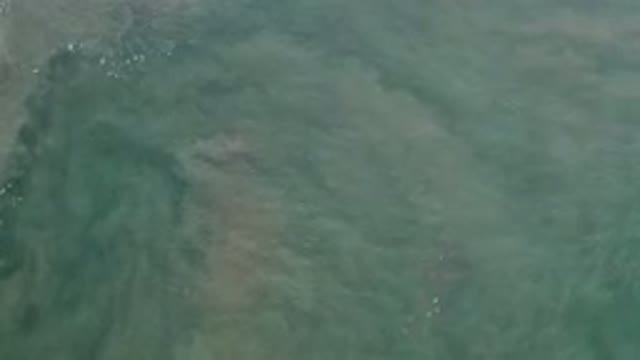 LOS CABOS MEXICO-2020: One-of-a-Kind and Beautiful Footage of Waves and Crystal Clear Water