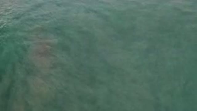 LOS CABOS MEXICO-2020: Calm Dark Waters Inviting You To Wade In And Relax