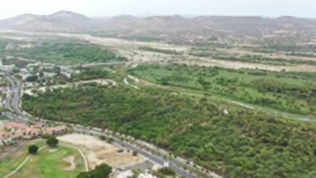 LOS CABOS MEXICO-2020: The Magic Forest