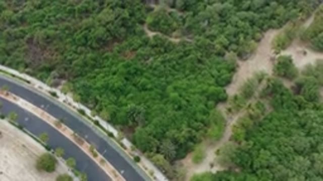 LOS CABOS MEXICO-2020: One Mile in the Air Camera Records Dense Forest
