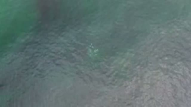 LOS CABOS MEXICO-2020: Unidentified White Objects Under The Sea