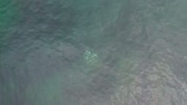 LOS CABOS MEXICO-2020: Sea High Quality Footage